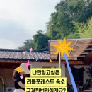 리리네 민박 이미지