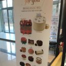 투썸플레이스포항공대점
