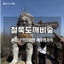 의령정비 | 경남 의령 여행 철쭉도깨비숲 후기(주차정보 포함)