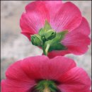 정만진농장 이미지