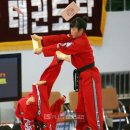 유로태권도