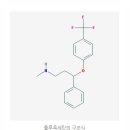 플루슬리 이미지