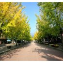 용문산그린펜션 이미지