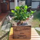 그린스테이 이미지