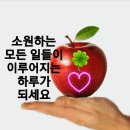 요새 며느리들은 다 그럴까 이미지