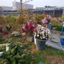 창석농장 이미지