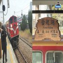 GOGO편의점 | 대만 타이중 아리산 투어 펀치후 당일치기 가족여행 추천 후기