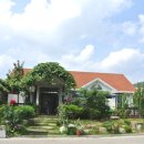 백조막국수 이미지