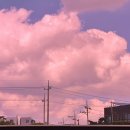 조양로205번길 이미지