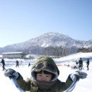 호성자전거 이미지