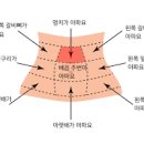 왼쪽 갈비뼈 통증 오른쪽 가슴통증 명치통증 이미지