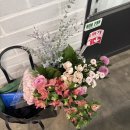 [후기] 조셉플라워스쿨 6회차