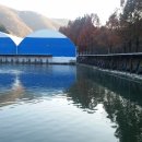 배내미낚시터 이미지