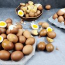 계림농장 이미지