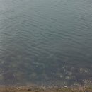 왕언니민박 이미지