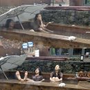 [제주도 소품샵] 소길별하 예약방법 및 방문후기