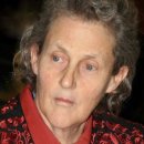 연극 템플 이미지