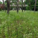 열우물숲공원 이미지