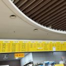 보보스랜드 이미지