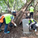 외금양계비 이미지