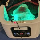 농특산물 판매촉진사업 | 수원 탈모관리 두피밥에서 두피에 영양듬뿍 밥주고 온 솔직후기