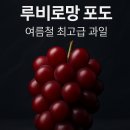 로망 | 🍇 루비로망 포도, 진짜 먹어본 후기 (feat. 가격, 맛, 구매팁까지!)