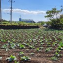 조수보건진료소 이미지