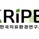 힐링 꽃꽃이 이미지