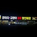 이츠펫(광혜원점) 이미지