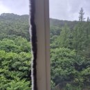 조흥그린아파트 이미지