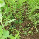 구산농장 이미지