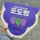 포도빵집 이미지