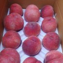 오봉농원 이미지