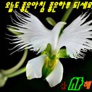 신성사 이미지