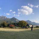 카페 탁트인