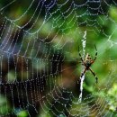 직업상담사 필기 - 직업상담학 이미지