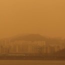 신흥부산물 네이버블로그