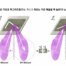 광원상회 이미지