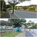 GS칼텍스 경포주유소 이미지