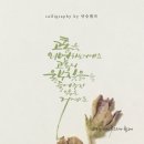 안승캘리 이미지