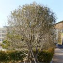 오륙도중학교 이미지