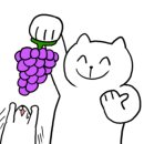 태문 이미지