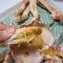 플러스 킹뽑기 이미지