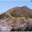 정자프라자약국 이미지