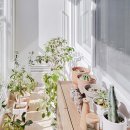 베란다디자인스튜디오 이미지