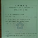 서울용강초등학교 이미지