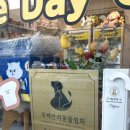 특별하개 이미지