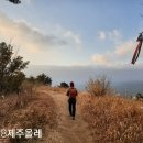 벌교태인 이미지