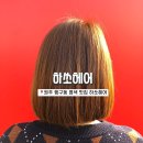하쏘헤어 이미지