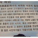 호래기와 볼락의 만남 이미지